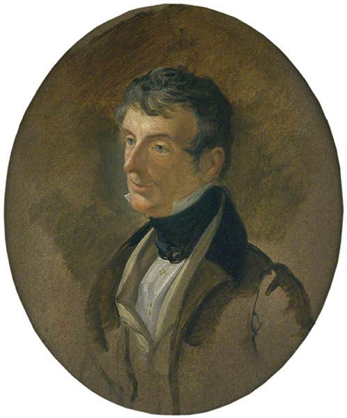Portrait of William John Bankes, oil on millboard, by George Hayter, 1836, National Trust, Kingston Lacy, Dorset (artuk.og)