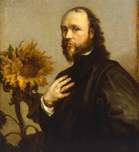 Portrait of Kenelm Digby, oil on canvas, by Anthony van Dyck, 1630s, Royal Museums Greenwich (collections.rmg.co.uk) 