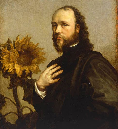 Portrait of Kenelm Digby, oil on canvas, by Anthony van Dyck, 1630s, Royal Museums Greenwich (collections.rmg.co.uk)