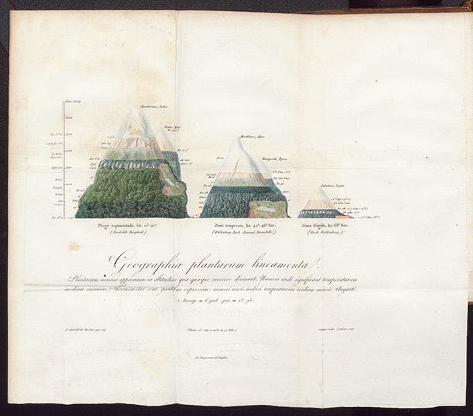Vegetation pattern on an equatorial mountain (Chimborazo), a temperate mountain (Mont Blanc), and a “frigid” mountain (Sulitelma, Japan), entire hand-colored engraved frontispiece (see first image for an enlarged view), Alexander von Humboldt, De distributione geographica plantarum, 1817 (Linda Hall Library)