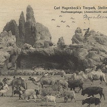 Tierpark Hagenbeck, Hamburg-Stellingen, postcard, ca 1910 (Wikimedia commons)