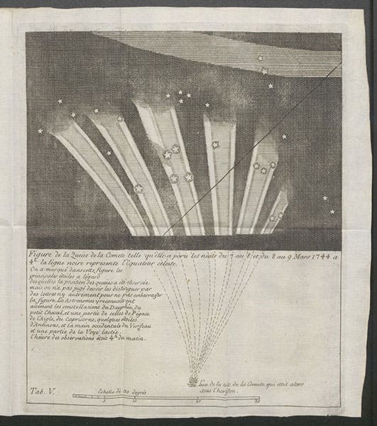 The complete plate from which the first image detail was taken, showing the six tails of the comet of 1744, as drawn on Mar. 8/9, 1743, by Jean-Philippe Loys de Cheseaux, in his Traité de la comete, 1744 (Linda Hall Library)