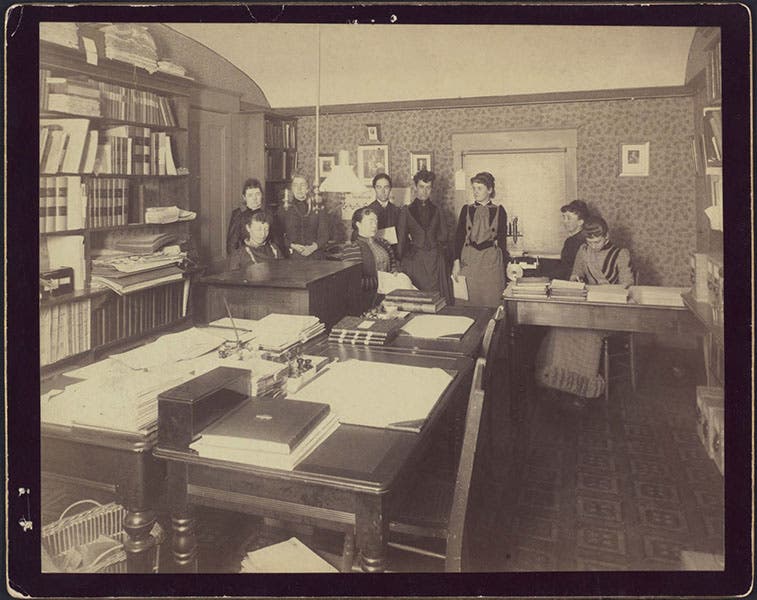 Mary Anna Palmer Draper (seated near center) with the women computers at Harvard College Observatory. The woman immediately behind Mrs. Draper is Antonia Maury; just to the right is Williamina Fleming (Harvard College Observatory, courtesy of Tom Fine)