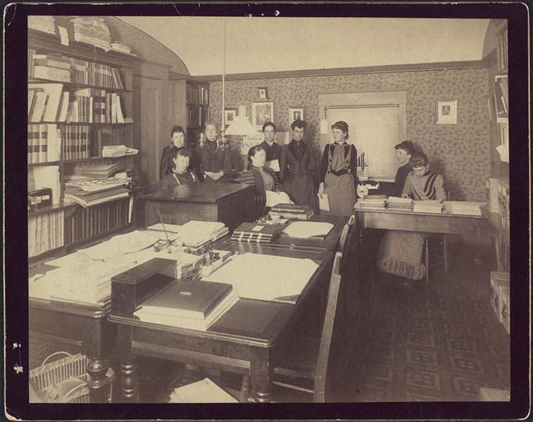 Mary Anna Palmer Draper (seated near center) with the women computers at Harvard College Observatory. The woman immediately behind Mrs. Draper is Antonia Maury; just to the right is Williamina Fleming (Harvard College Observatory, courtesy of Tom Fine)