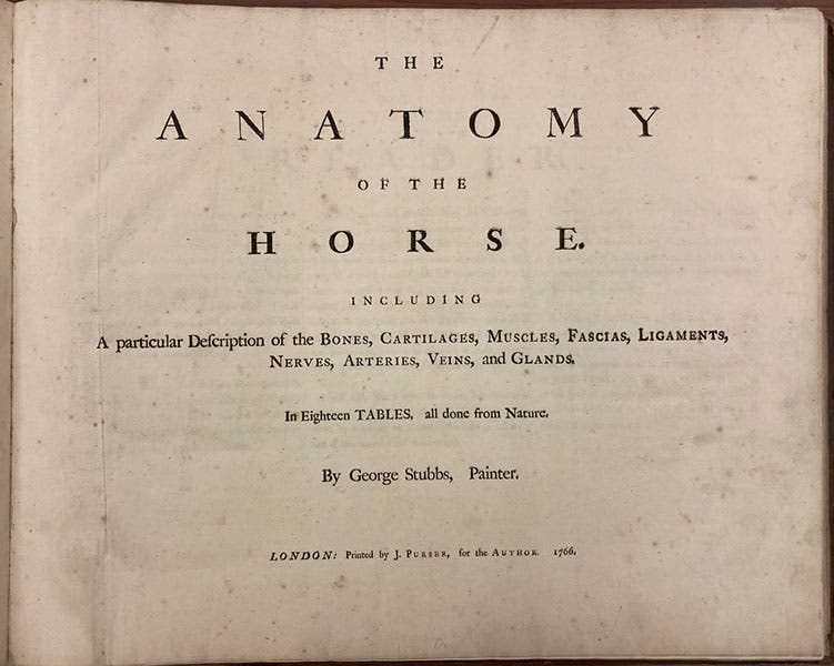 Title page, George Stubbs, The Anatomy of the Horse, 1766 (Linda Hall Library)