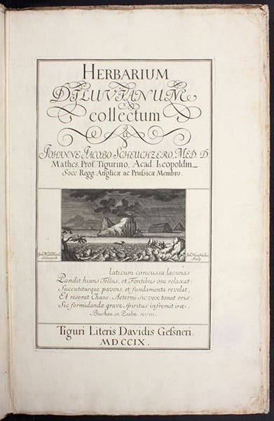 Title page with engraved vignette, Herbarium diluvianum, by Johann Jakob Scheuchzer, 1709 (Linda Hall Library)