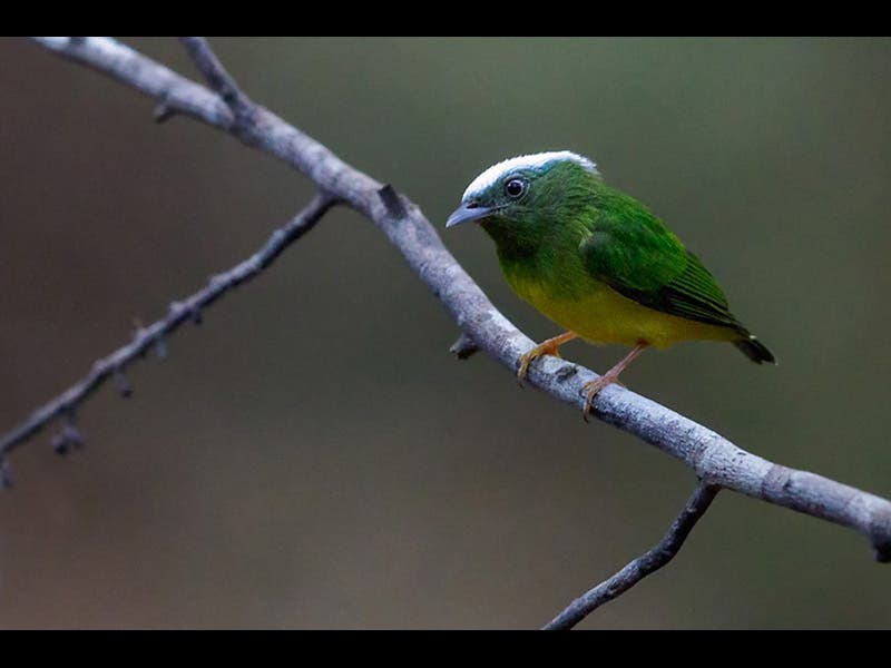 Glenn Bartley Nature Photography