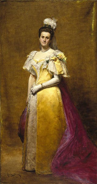 Emily Warren Roebling, oil portrait by Charles-Émile-Auguste Carolus-Duran, 1896 (Brooklyn Museum)