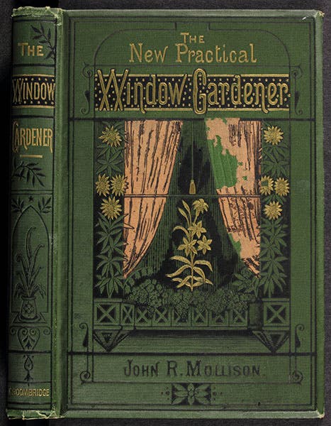 Front cover of J. R. Mollison, The New Practical Window Gardener, 1877 (Linda Hall Library)