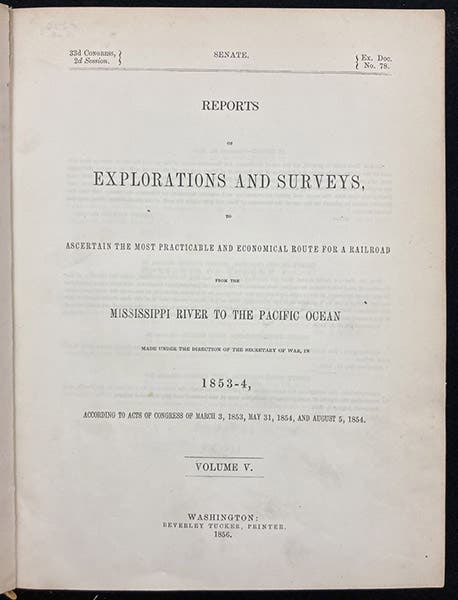 General title page, which precedes Williamson’s title page (third image), Reports of explorations and surveys, to ascertain the most practicable and economical route for a railroad from the Mississippi River to the Pacific Ocean (Pacific Railroad Reports, vol. 5), 1855 (Linda Hall Library)