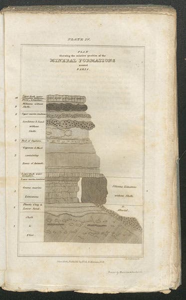Stratigraphy of the Paris basin, engraving copied from Robert Jameson’s edition of Cuvier’s Essay, in Samuel Latham Mitchill (ed.), Essay on the Theory of the Earth, by Georges Cuvier, 1818. Note the section of strata that resembles the face of Napoleon, which also appeared in Jameson’s engraving (Linda Hall Library)