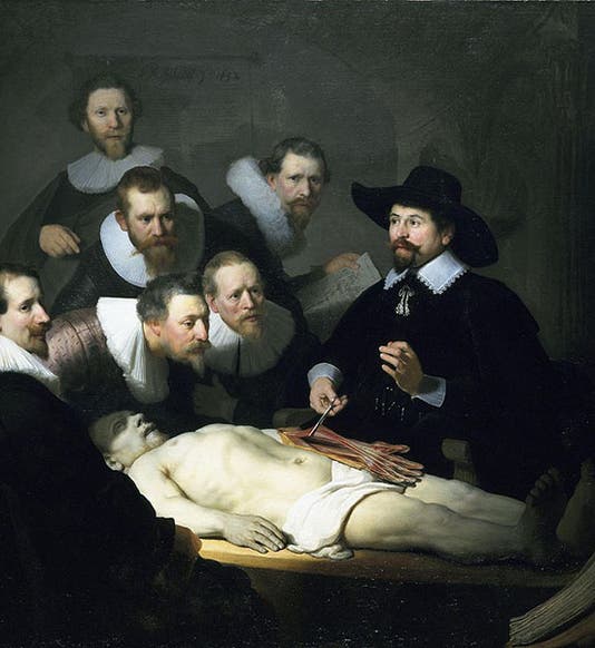 <i>The Anatomy Lesson of Dr. Nicolaes Tulp</i>, oil painting by Rembrandt, 1632, Mauritshuis, The Hague (Wikimedia commons)