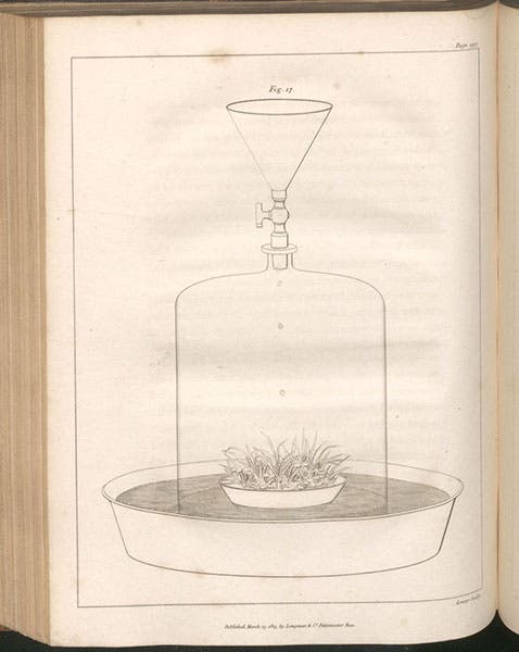 A variety of plants being grown under controlled conditions, engraving, Elements of Agricultural Chemistry, in a Course of Lectures for the Board of Agriculture, by Humphry Davy, fig. 17, foll. p. 197, 1813 (Linda Hall Library)