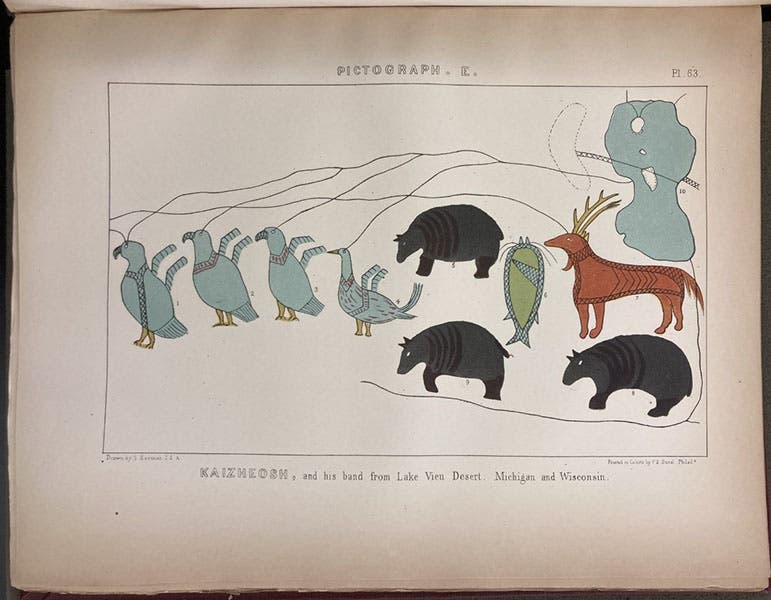 Pictographs observed in Michigan and Wisconsin, chromolithograph after Seth Eastman, in Indian Tribes of the United States, by Henry Schoolcraft, vol. 1, 1851 (Linda Hall Library)