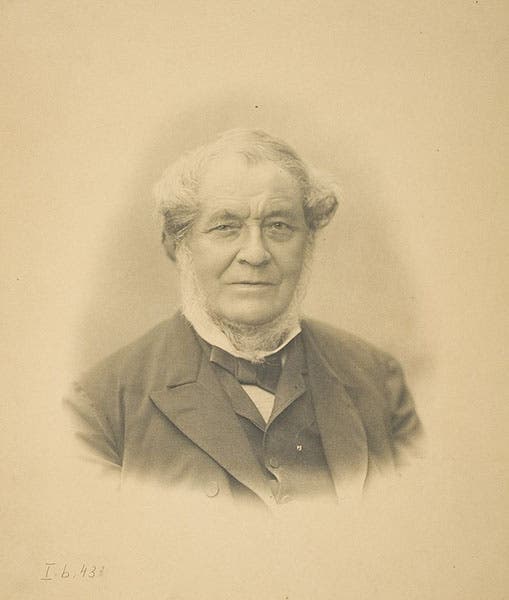 An older Robert Bunsen, photograph, University of Heidelberg, undated (Wikimedia commons)