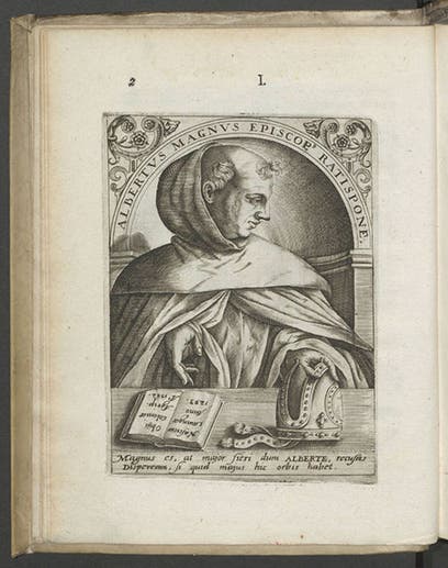 Albertus Magnus, engraved portrait, Jean-Jacques Boissard, <i>Icones</i>, 1597-99 (Linda Hall Library)