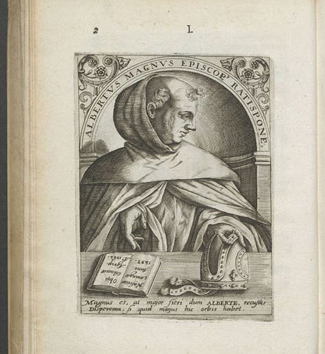 Albertus Magnus, engraved portrait, Jean-Jacques Boissard, <i>Icones</i>, 1597-99 (Linda Hall Library)