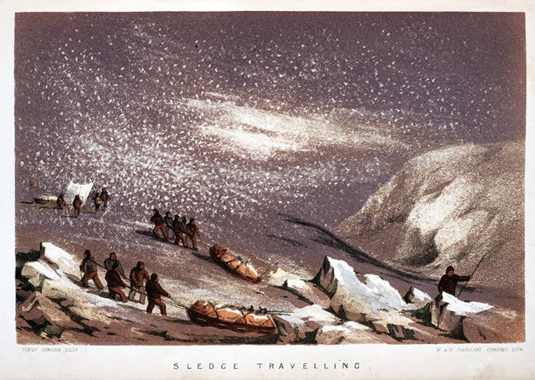 Two sledge teams from the Austin expeditioin, travelling on the dark winter ice, 1850-51, lithograph in Sherard Osborn, Stray Leaves from an Arctic Journal, 1852 (Linda Hall Library)