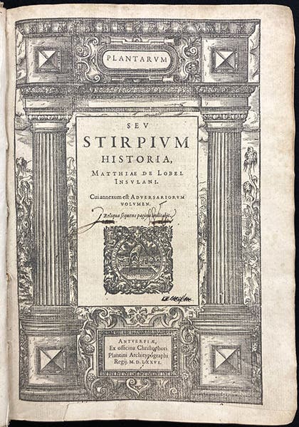 Title page, Plantarum seu stirpium historia, by Matthias de L’Obel, 1576, with Plantin printer’s mark (Linda Hall Library)