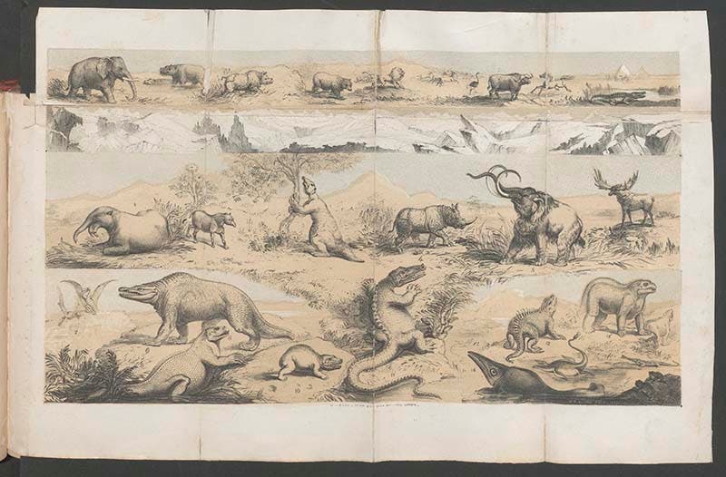 Panorama showing animals of the Secondary, Tertiary, and Quaternary Eras, folding hand-colored engraving, from Isabelle Duncan, Pre-Adamite Man, 2nd edition, 1860 (Linda Hall Library)