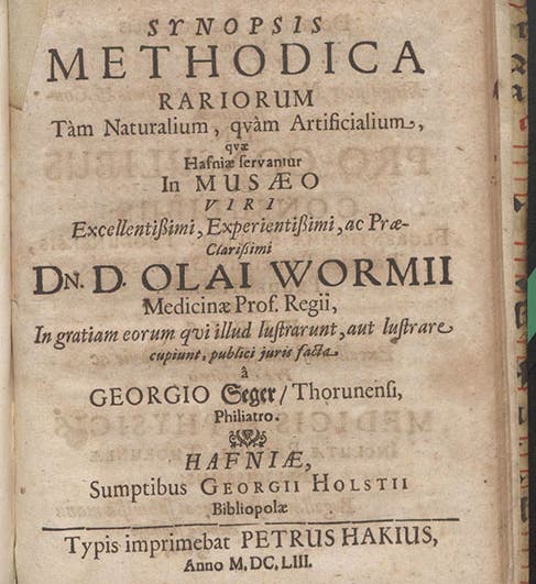 Title page, Synopsis methodica rariorum tàm naturalium, qvàm artificialium, qvæ Hafniæ servantur in Musaeo ... Olai Wormii, by Georg Seger, 1653 (Linda Hall Library)