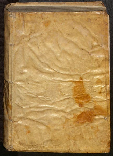 Vellum binding, Andrea Cesalpino, De plantis libri XVI, 1583 (Linda Hall Library)