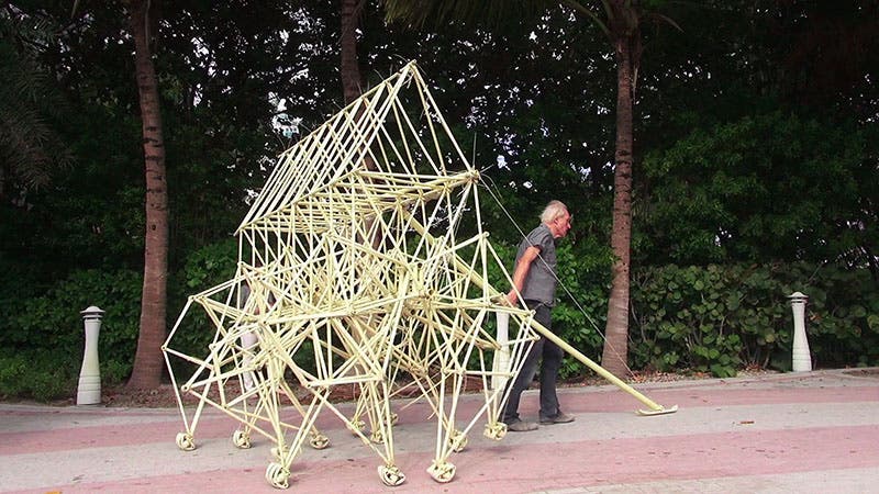 Theo Jansen and a small strandbeest, photograph, 2014 (nytimes.com)