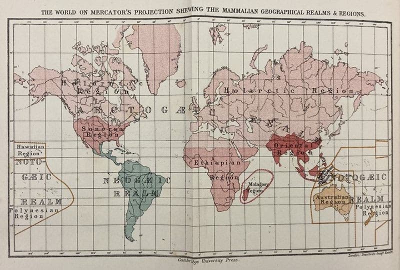 Map of the geographical distributions of mammals, Richard Lydekke, A Geographical Distribution of Mammals, 1896 (Linda Hall Library)