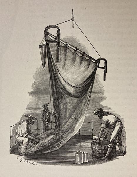 Beam trawling net used on board HMS Challenger, engraved tailpiece, Report on the Scientific Results of the Voyage of H.M.S. Challenger during the years 1873-76, Narrative, ed. by C. Wyville Thomson and John Murray, vol. 1, 1885 (Linda Hall Library)