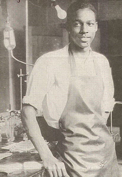 A young Vivien Thomas in the lab at Vanderbilt, photograph, undated (Wikimedia commons)