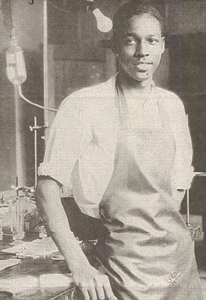 A young Vivien Thomas in the lab at Vanderbilt, photograph, undated (Wikimedia commons)