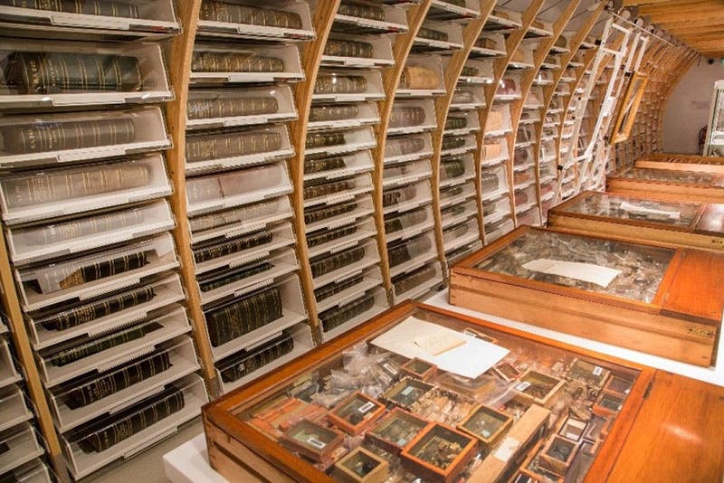 The herbarium of Hans Sloane, housing 265 volumes of pressed plants, along with various boxes of "vegetable substances," recent photograph, Natural History Museum (nhm.ac.uk)
