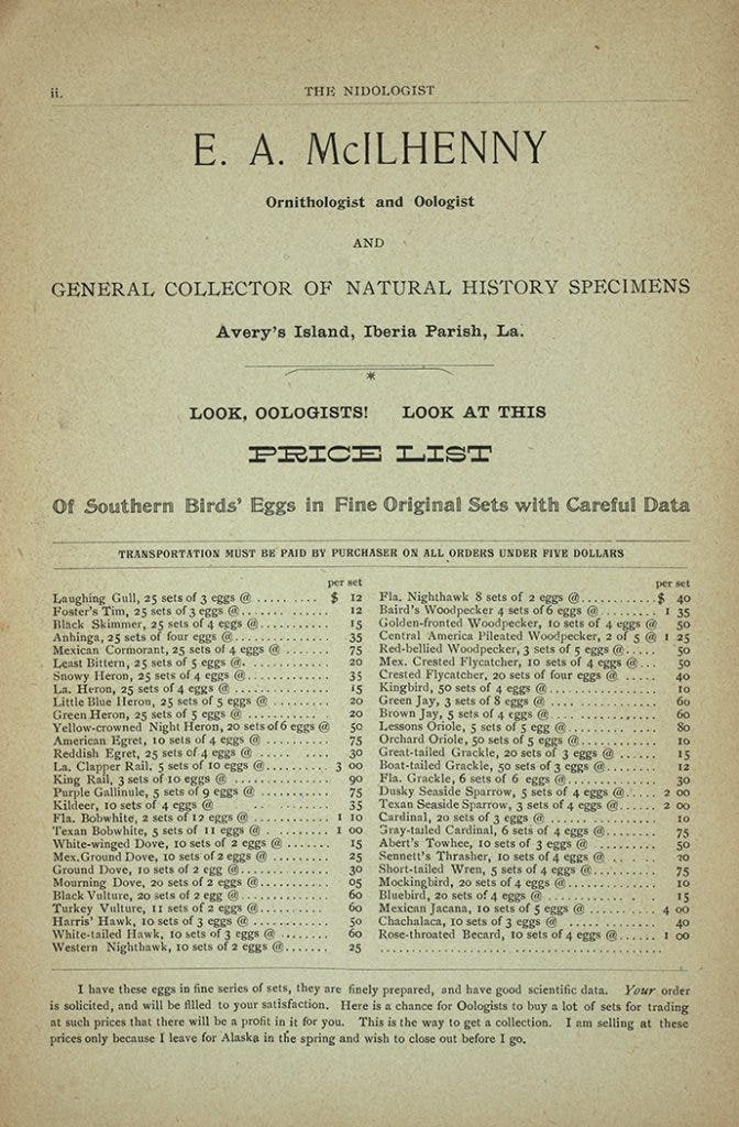 People amassed their egg collections through fieldwork, as well as through selling and trading between other oölogists. This is an advertisement of birds eggs for sale from Edward McIlhenney, an amateur ornithologist and collector from Louisiana, in the February 1897 issue of The Nidologist. View Source.