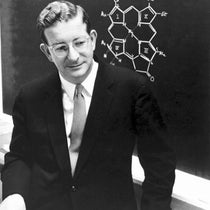 Portrait of Robert Burns Woodward, undated photograph, Dept. of Chemistry, Michigan State University (chemistry.msu.edu)