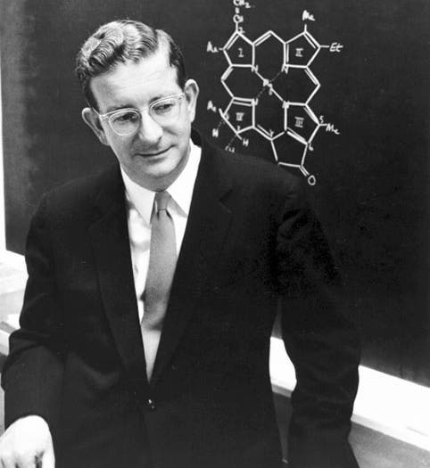 Portrait of Robert Burns Woodward, undated photograph, Dept. of Chemistry, Michigan State University (chemistry.msu.edu)