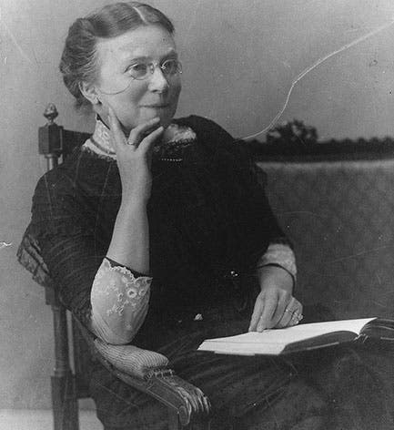 Portrait of Anna Weber-van Bosse, photograph, undated (Artis Library, University of Amsterdam, via Wikimedia commons)