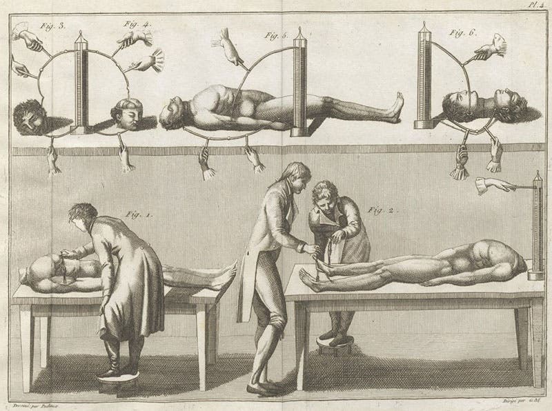 Using Voltaic piles to stimulate decapitated human skulls, and the cadavers from which they came, detail of an engraving, Essai théorique et expérimental sur le galvanisme, by Giovanni Aldini, plate 4 at end, 1804 (Linda Hall Library)
