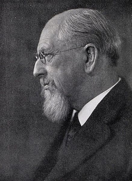 Portrait of William Healey Dall in his seventies, NAOO (Wikimedia commons)