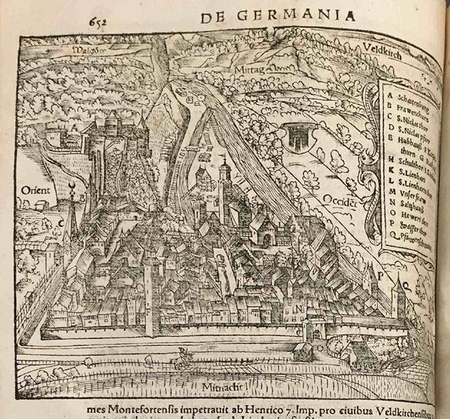 Woodcut image of Feldkirch, from Gasser’s description in Sebastian Münster, Cosmographia (Linda Hall Library)