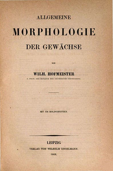Title page, Allgemeine Morphologie der Gewächse, by Wilhelm Hofmeister, 1868, Bavarian State Library, Munich (digitale-sammlungen.de)