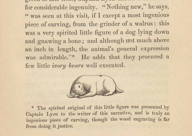 A tiny scrimshaw carving of a dog gnawing a bone, fashioned from a walrus molar by an Inuit, obtained by George Lyon in Hudson Bay and given to John Barrow, woodcut in in his Voyages of Discovery and Research within the Arctic Regions, 1846 (Linda Hall Library)