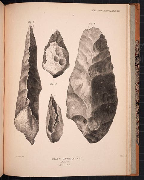 Hand-axe found at Saint-Acheul, Amiens, by Joseph Prestwich and John Evans, engraved plate accompanying article by Prestwich, Philosophical Transactions of the Royal Society of London, vol. 150, 1860 (Linda Hall Library)
