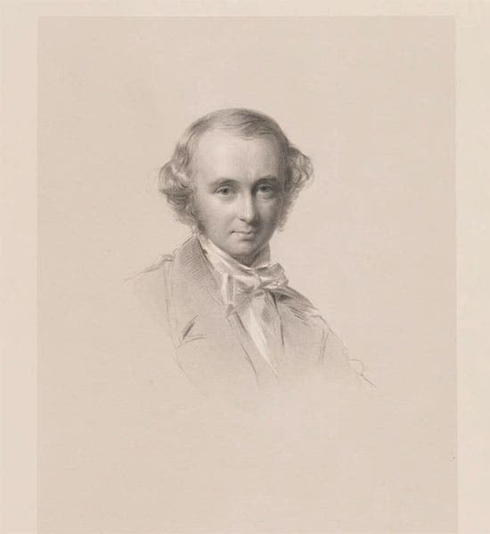 Portrait of Benjamin Jowett, stipple engraving by Francis Holl, after George Richmond, ca 1855, National Portrait Gallery, London (www.npg.org.uk)