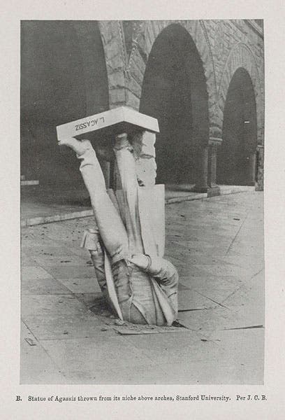 Statue of Louis Agassiz that fell from its perch at Stanford University during the 1906 earthquake, from the Lawson Report, 1908 (Linda Hall Library)
