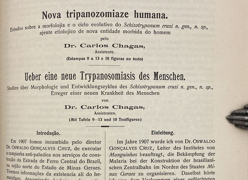 Detail of first page, article by Carlos Chagas, “Nova tripanozomiaze humana,” Memórias do Instituto Oswaldo Cruz, vol. 1, 1909 (Linda Hall Library)