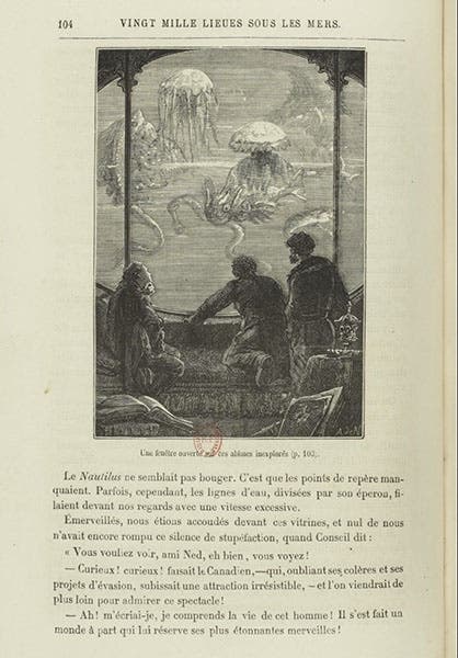 The salon shutters of the Nautilus opened to reveal the oceanic world, wood engraving after drawing by Alphonse de Neuville, in Vingt mille lieues sous le mers, by Jules Verne, 1871, copy in Bibliothèque nationale de France (gallica.bnf.fr)