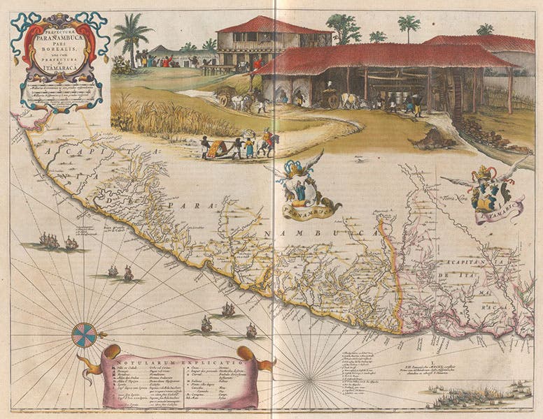 Map of Pernambuco prefecture of Brazil, with sugar mill, hand-colored engraving, Atlas maior, by Joan Blaeu, vol. 11, foll. p. 243, 1662 (Linda Hall Library)