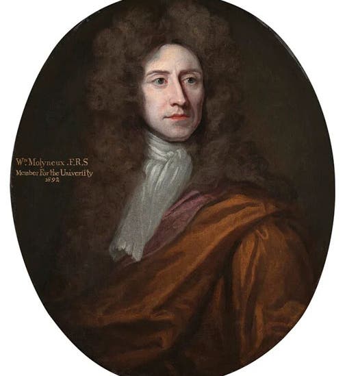 Portrait of William Molyneux, unknown artist and date, oil on canvas, National Portrait Gallery, London (npg.org.uk)