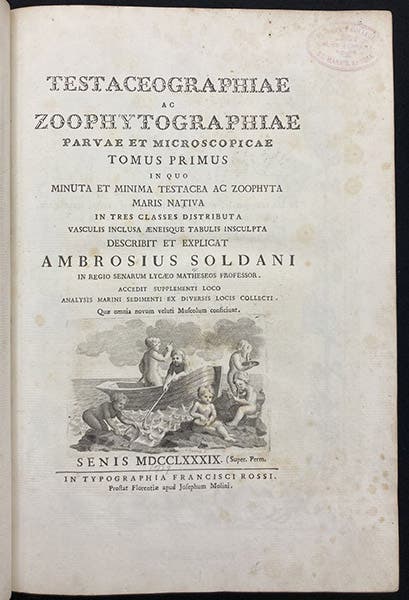 Title page, Testaceographiae ac zoophytographiae parvae et microscopicae, by Ambrogio Soldani, vol. 1, 1789 (Linda Hall Library)