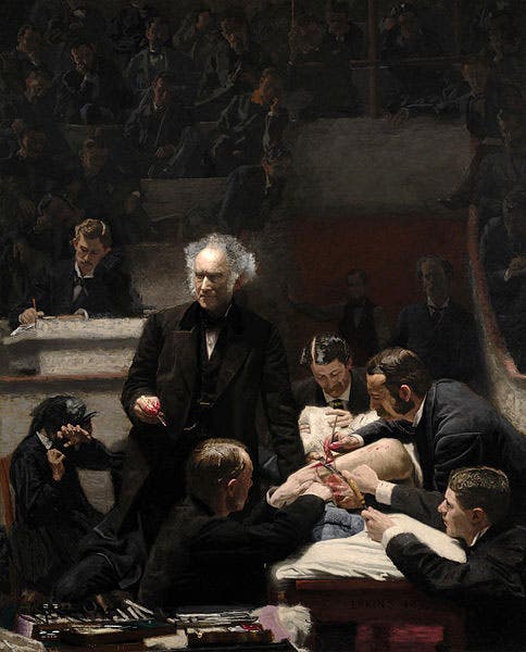 The Gross Clinic, by Thomas Eakins, 1875 (Wikipedia)